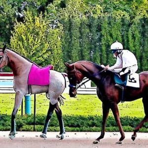 Artistic representation for Owensboro Weekend Yard Sales : Thoroughbred Acres & Beyond