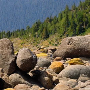 Artistic representation for We found our people . WA rock hounds comb mountains and beaches for stony treasures.