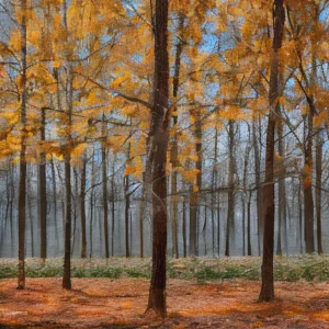 Artistic representation for Bentonville , Arkansas , Is A Perfect Fall Getaway Let me know if you'd like me to provide you with additional options.